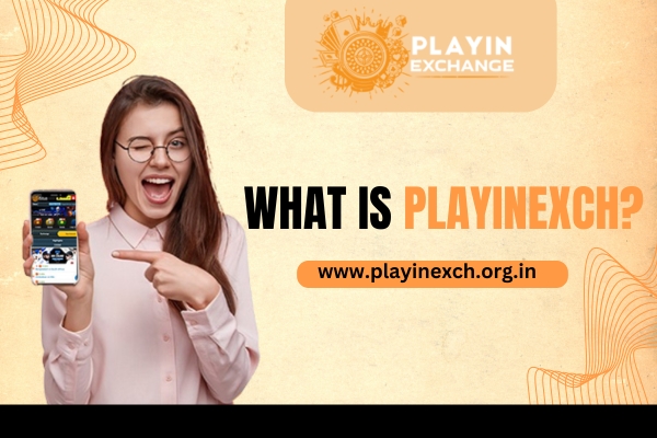 What is PlayInExch | Playinexch